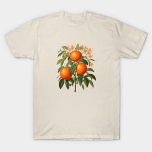 Vintage Oranges T-Shirt